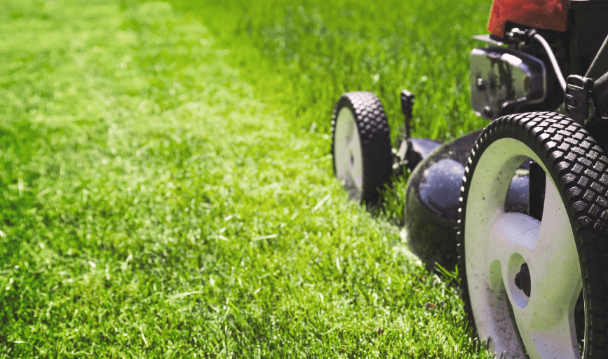 K.I.D. Mow and Snow 